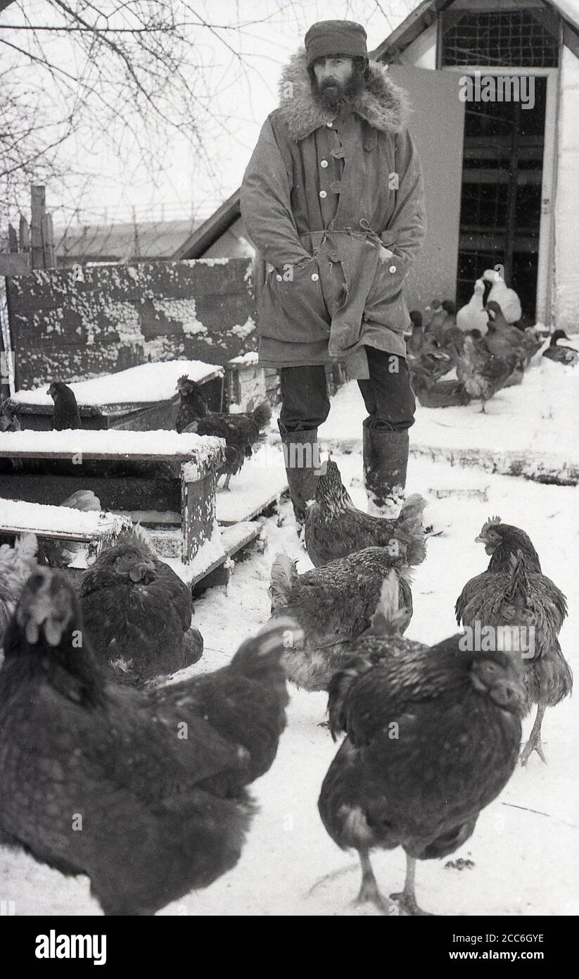 1970s, historical, wintertime at a city farm inThamesmead, South-east London, snow rests on the ground in this picture of a bearded male caretaker of an urban or city farm with hens outside a chicken hatch, London, England, UK. Stock Photo