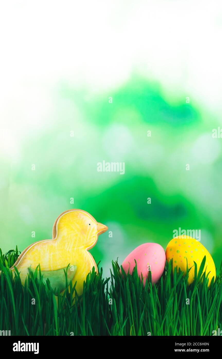 Easter bird gingerbread and painted eggs on the grass with copy space Stock Photo