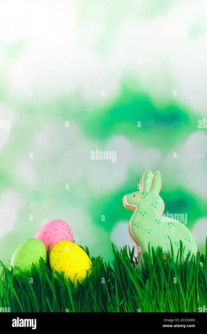 Easter bunny cookie and painted eggs on the grass Stock Photo