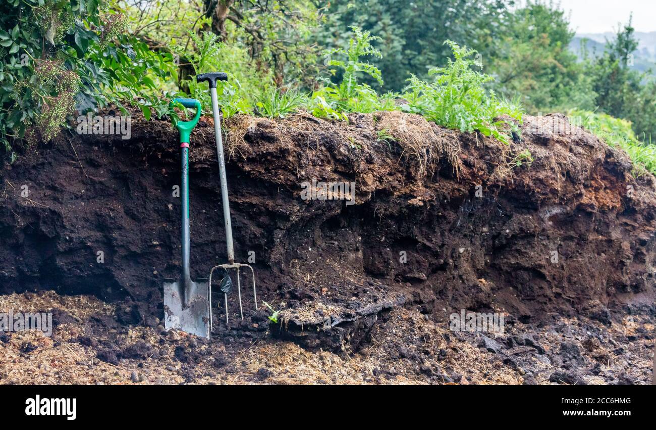 A large pile of well rotted horse manure with a garden fork and spade ready for digging out. The manure will provide organic matter for gardens. Stock Photo