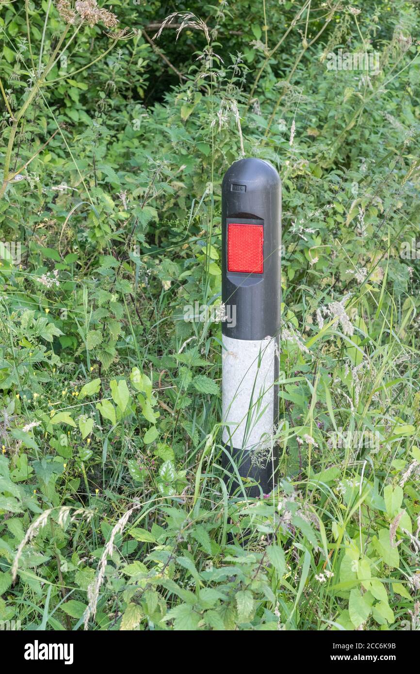 Mass of roadside weeds engulfing reflective marker post in grass verge of country road. Metaphor overgrown, swamped, weeds, surrounded on all sides Stock Photo