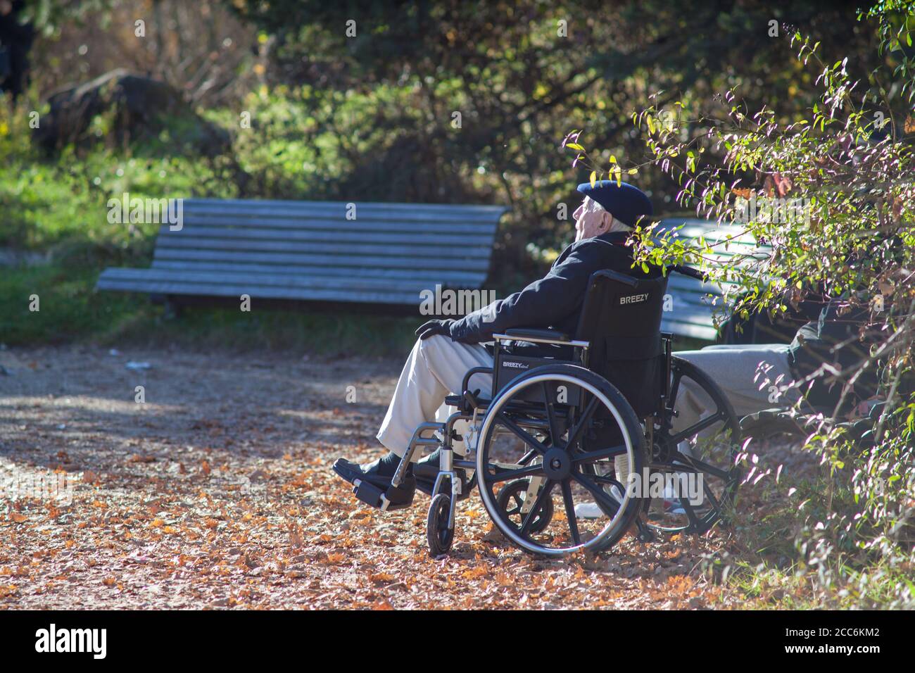 Old man wheelchair sad hi-res stock photography and images - Alamy