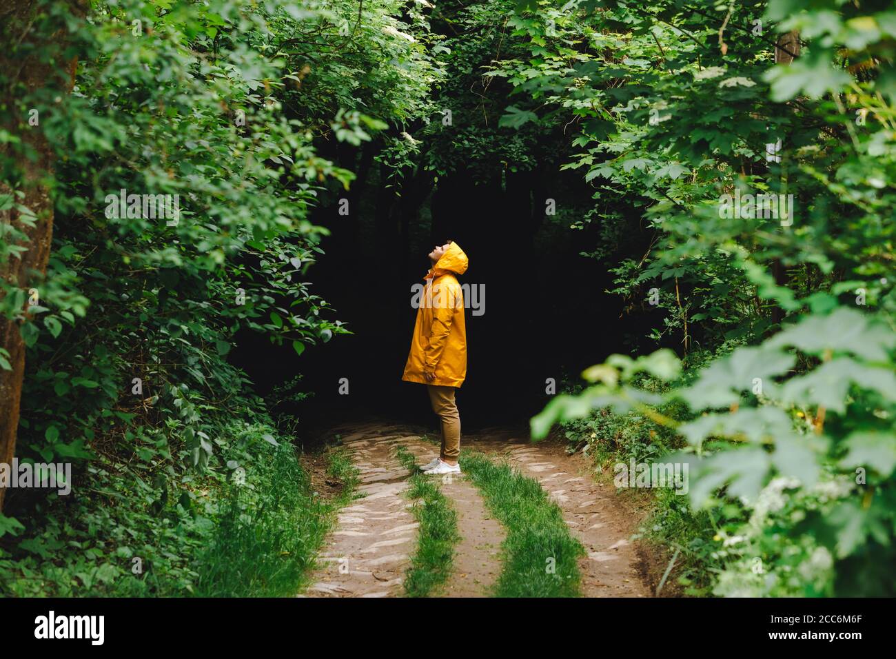 traveler man in yellow raincoat hiking by rainy forest Stock Photo - Alamy