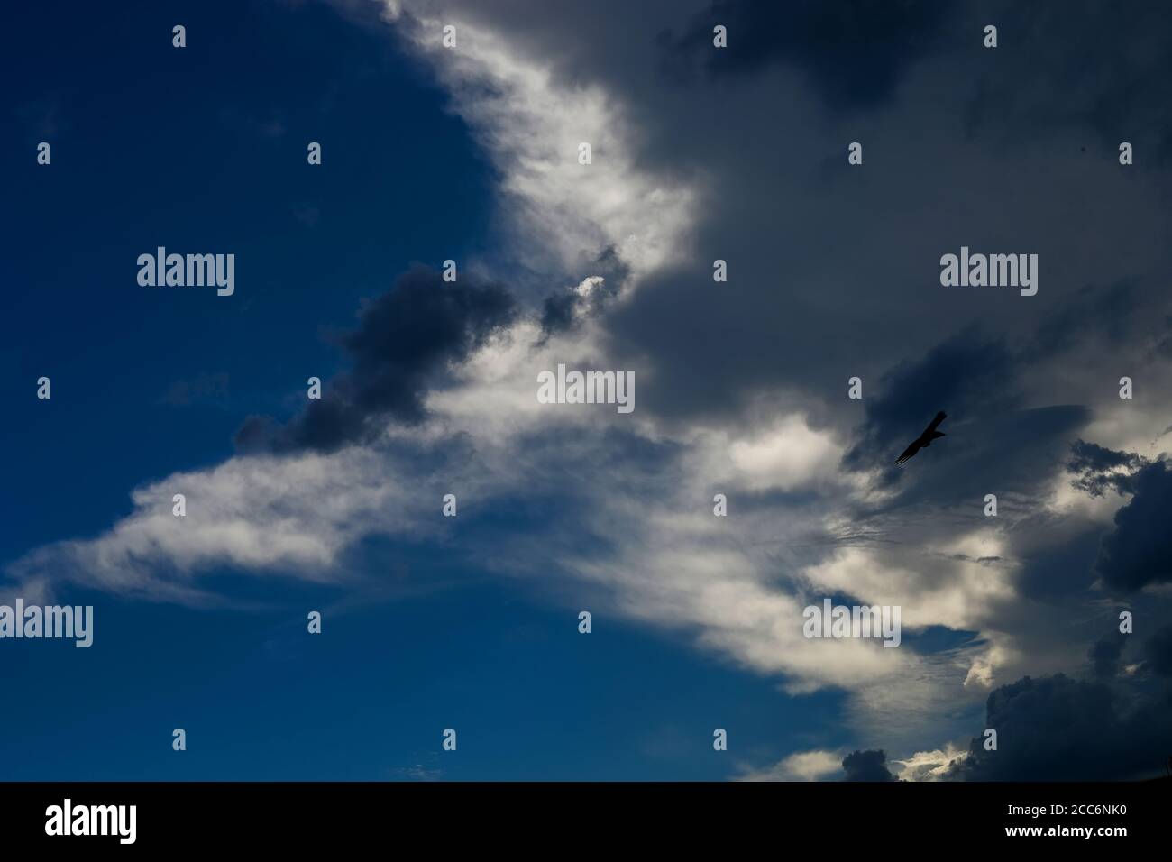 Black cloud and thunderstorm before rainy, Dramatic black cloud and dark sky Stock Photo