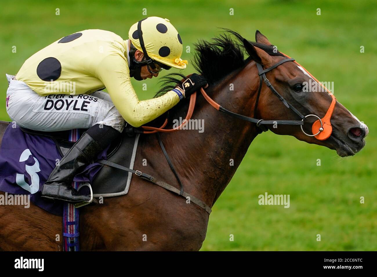 Mark of Gold ridden by Sean Levey win the The Download The At The Races App Handicap at Bath Racecourse. Stock Photo