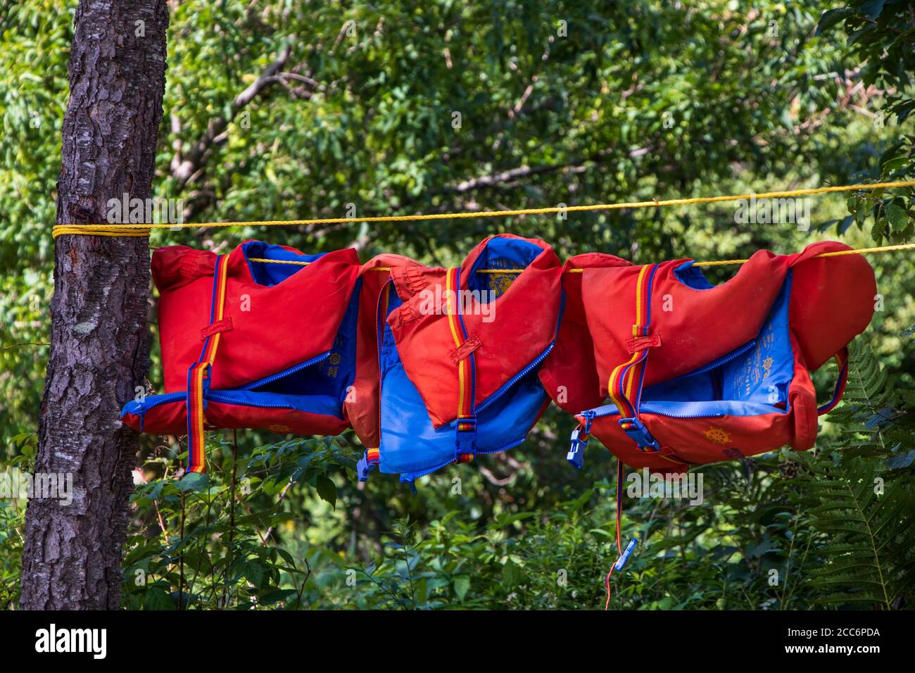Three Kids Life jakets in a row drying on clothesline during summer season on a campsite in the woods (center align) Stock Photo