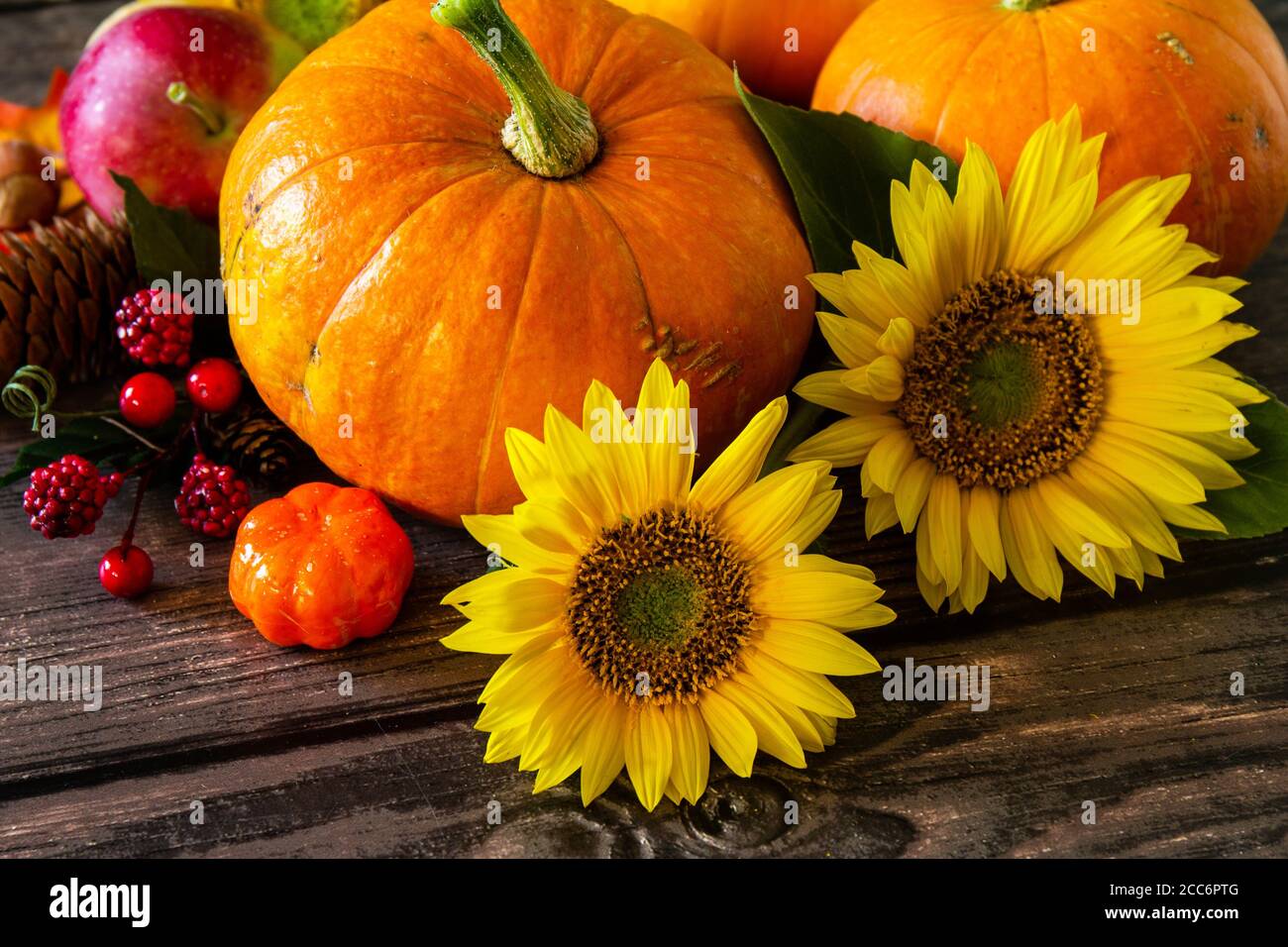 Autumn Background, Thanksgiving table. Pumpkins, sunflowers