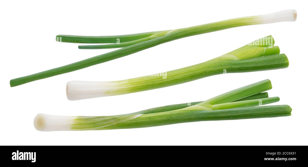 Green onion, fresh chives isolated on white background Stock Photo Alamy