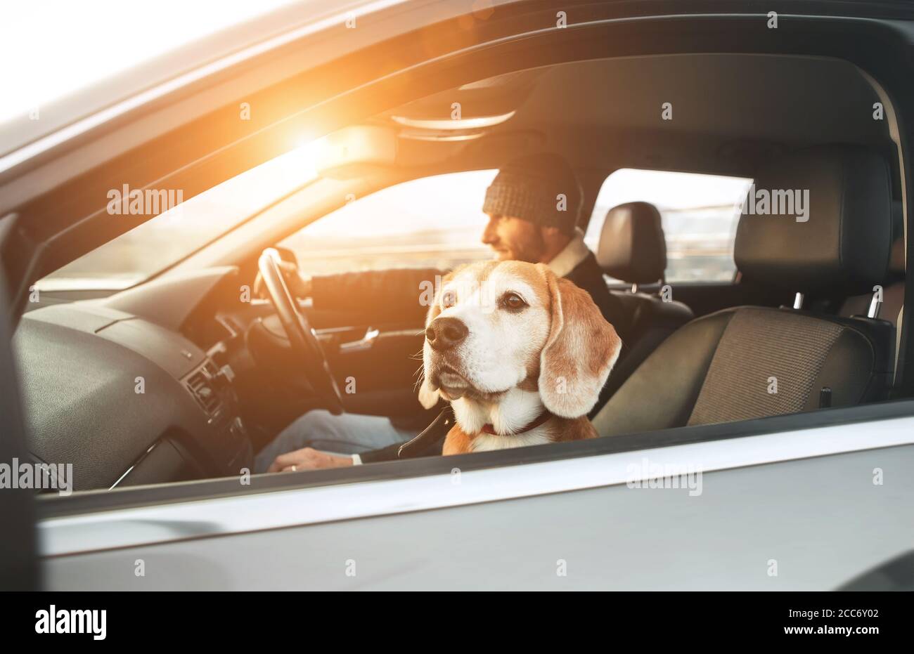 Warm dressed man enjoying the modern car driving with his beagle dog sitting on the co-driver passenger seat. Funny pets concept image. Stock Photo