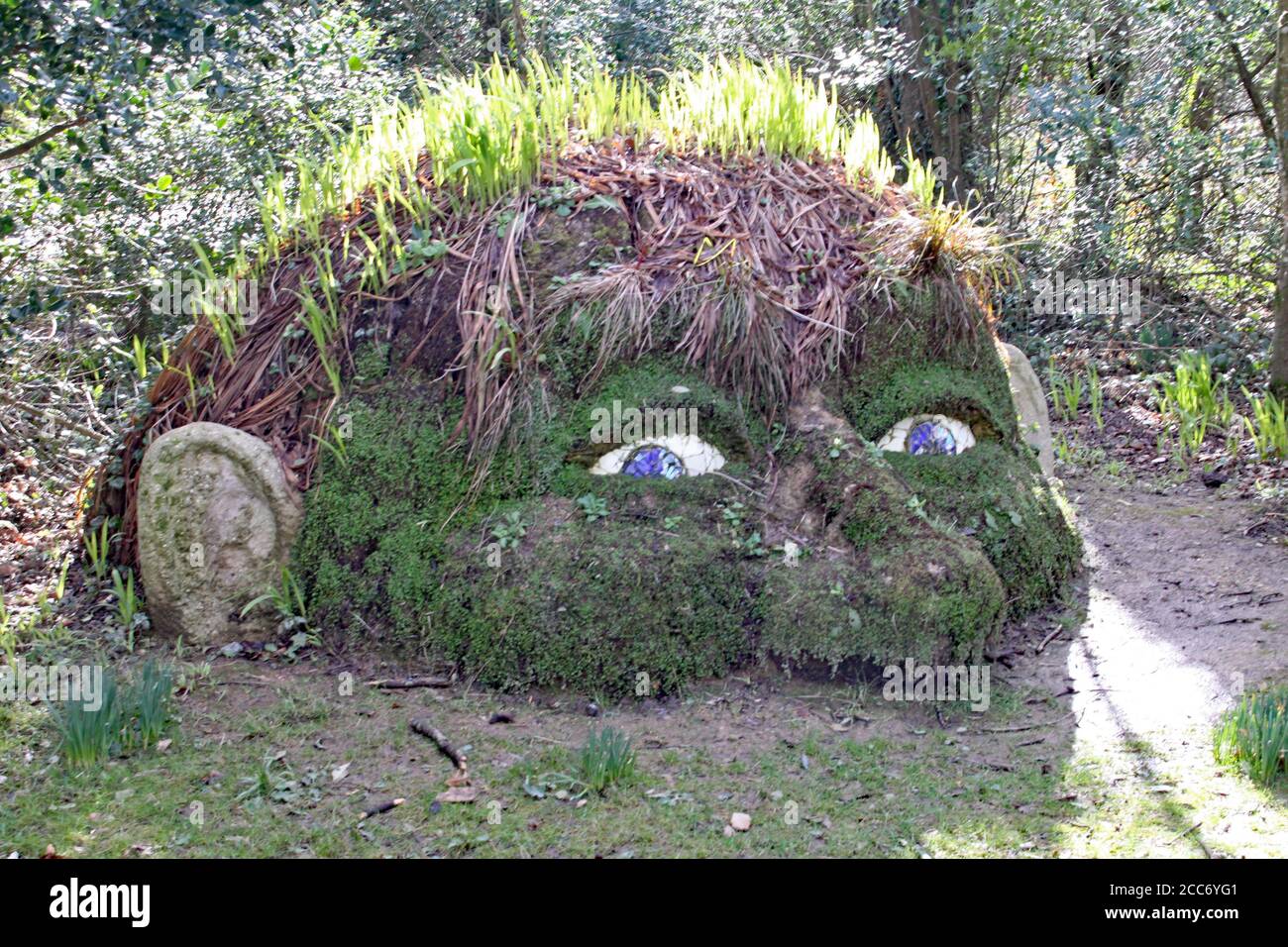 The Giant s Head Sculpture At The Lost Gardens Of Heligan Stock Photo the-giant-s-head-sculpture-at-the-lost-gardens-of-heligan-stock-photo