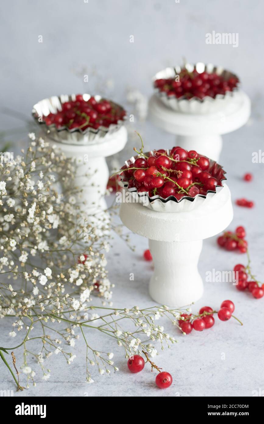 Fresh brunches of red currant on light background. Stock Photo