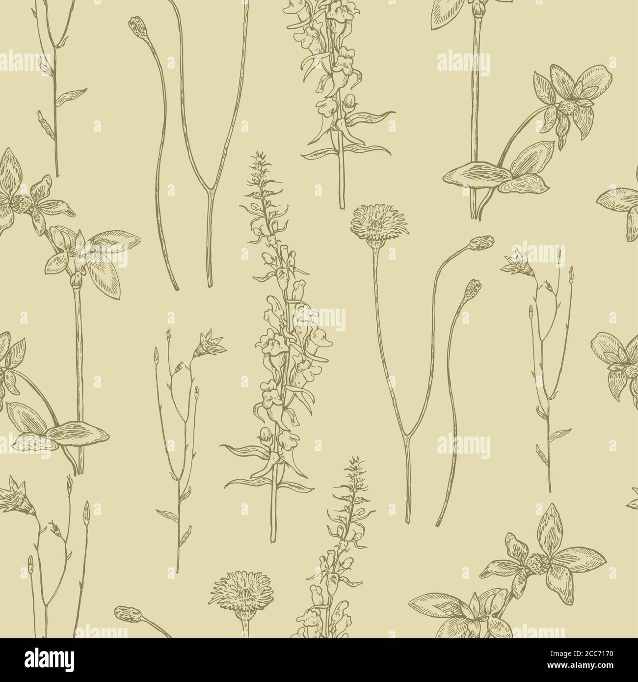 Seamless pattern with meadow ink drawn plants. Stock Vector