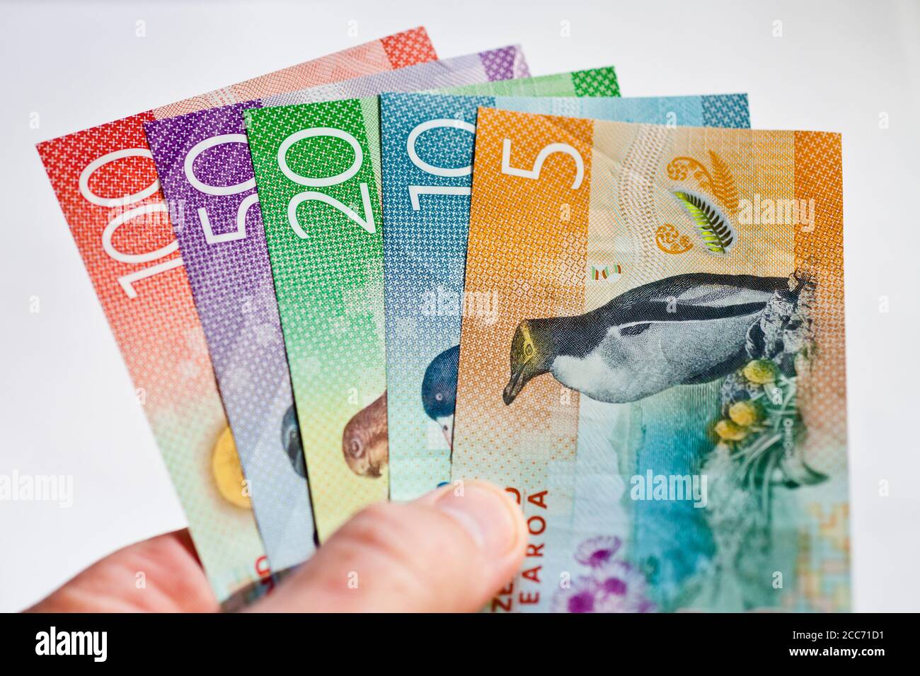 New Zealand currency held fanned out in someones hand Stock Photo