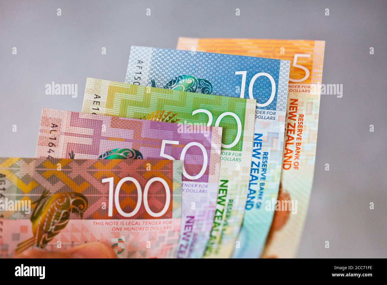 New Zealand cash, money or currency held fanned out on a gray background Stock Photo