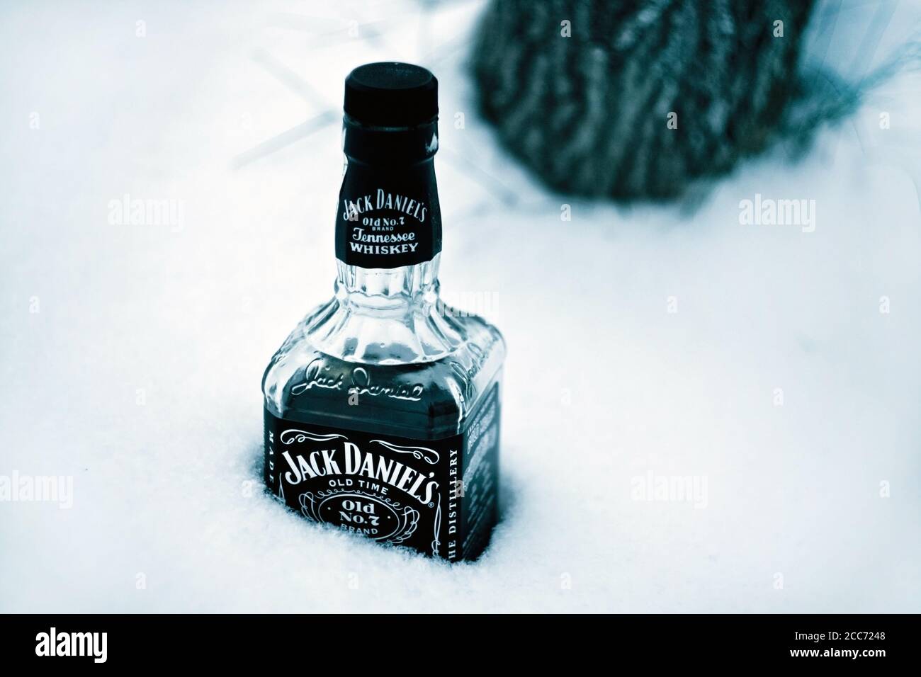 Kyiv, Ukraine - January 1, 2011: Jack Daniel's whiskey bottle is sticking out from the snow, tree in the background Stock Photo