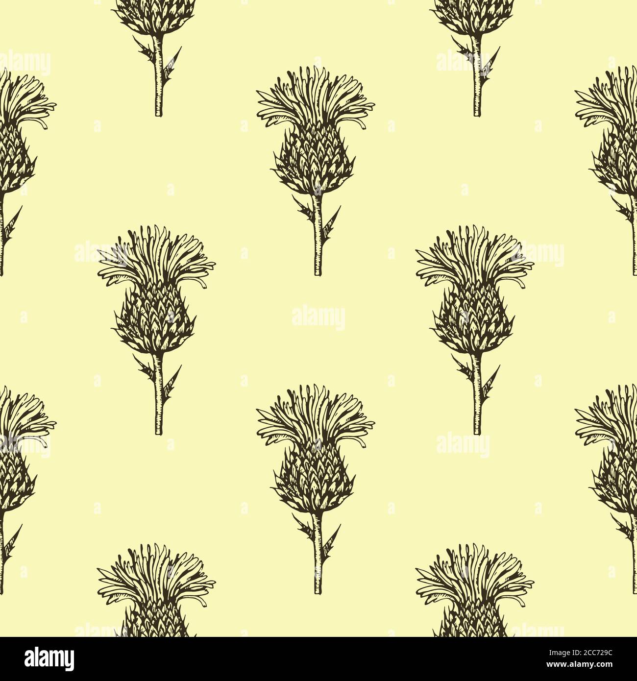 Seamless pattern with thistle flowers. Black and white ink engraving illustration.  Stock Vector