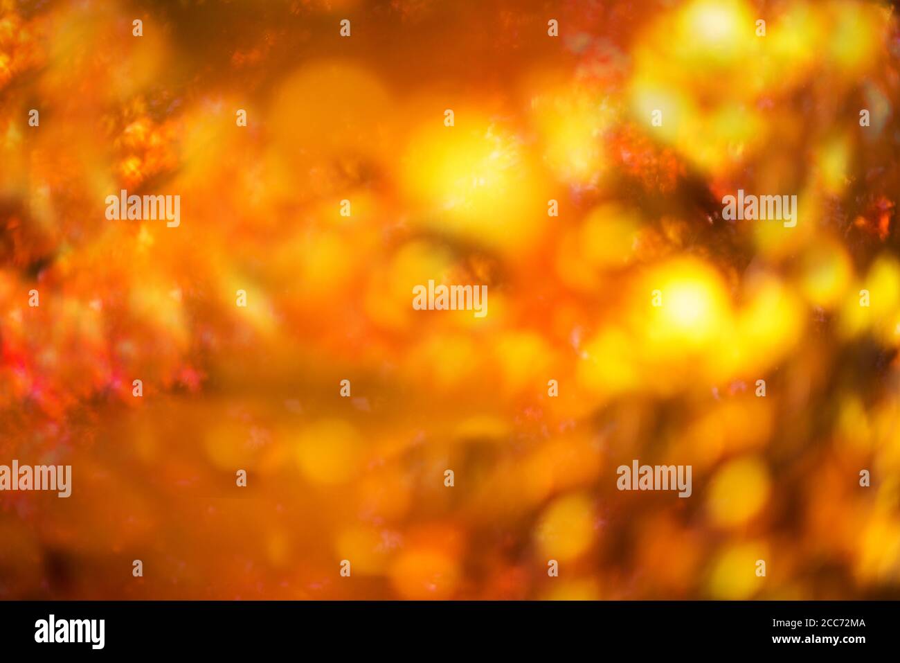 defocused red leaves, perfect autumn background Stock Photo