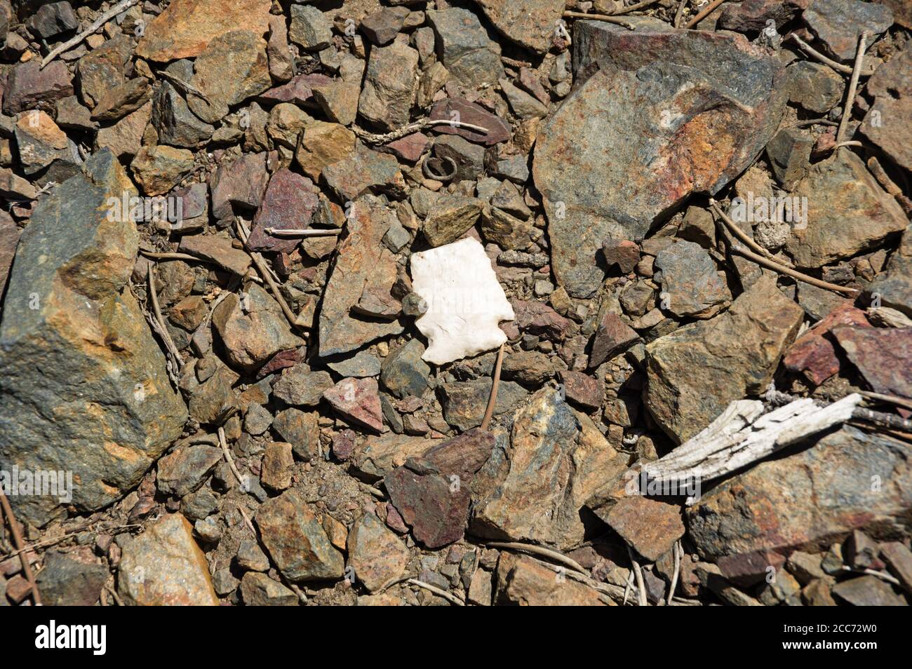 broken white chert arrowhead on rocky ground Stock Photo
