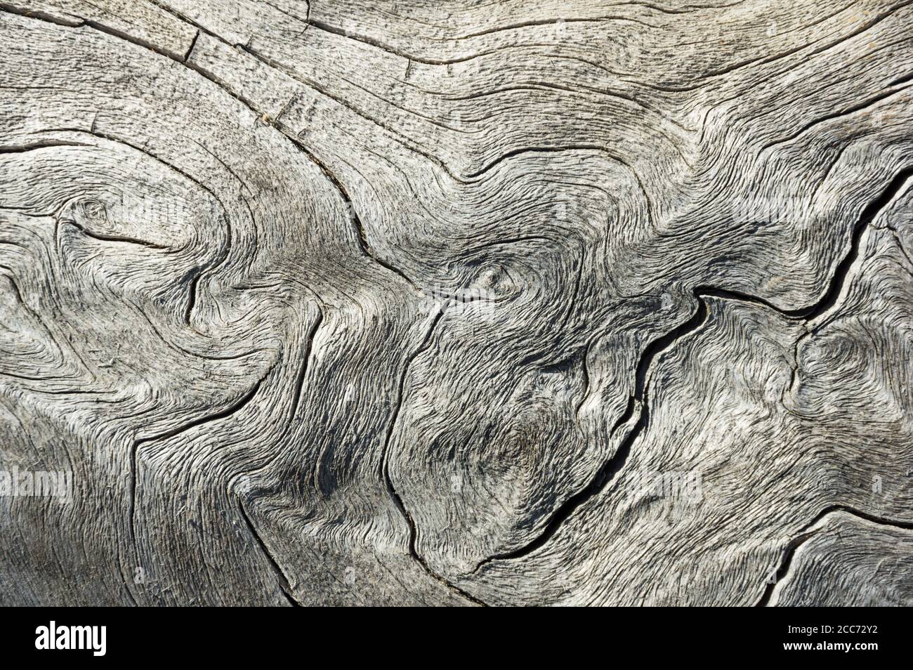 contorted and weathered gray wood background texture image Stock Photo