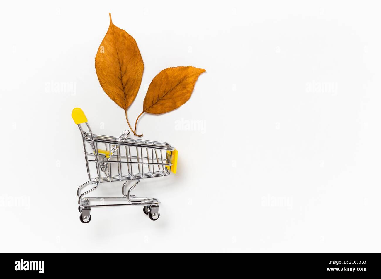 Autumn sale: shopping cart with two yellow fall leaves on white background. Seasonal sale or fall discount deal with copy space for your text Stock Photo