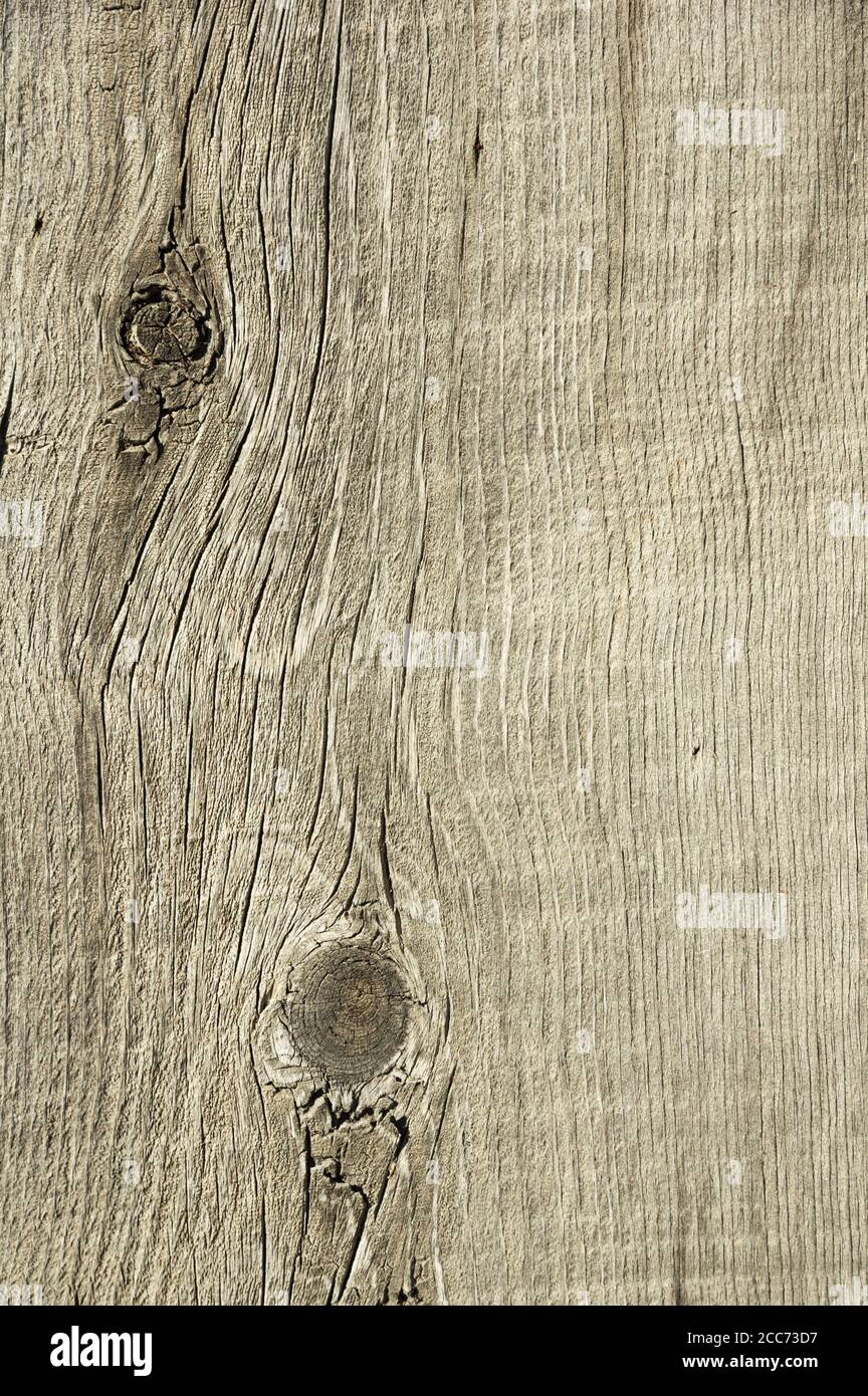 weathered knotted old gray wood background texture image Stock Photo