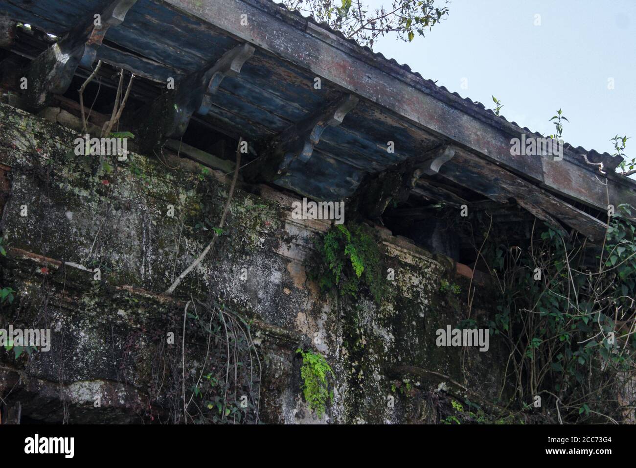 Weeds roof hi-res stock photography and images - Alamy