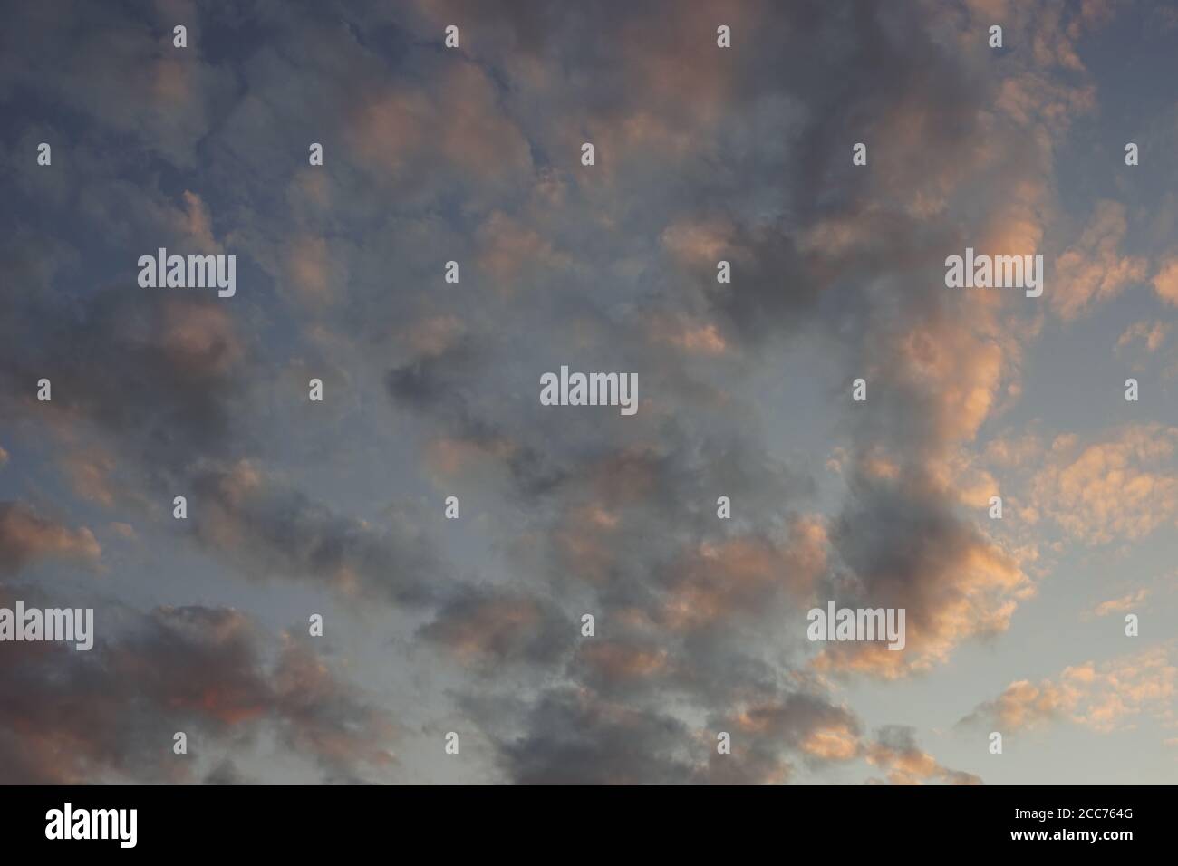 background evening cloudy sky in summer sunset Stock Photo