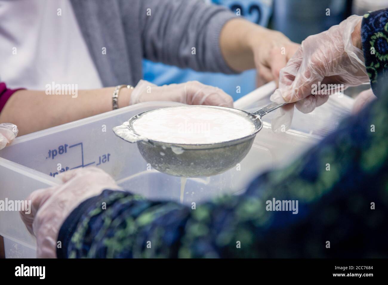 Women hooping the curds (pouring / scooping the soft goat cheese curd into containers or cheese cloth bags during a cheesemaking class in Fall City, W Stock Photo