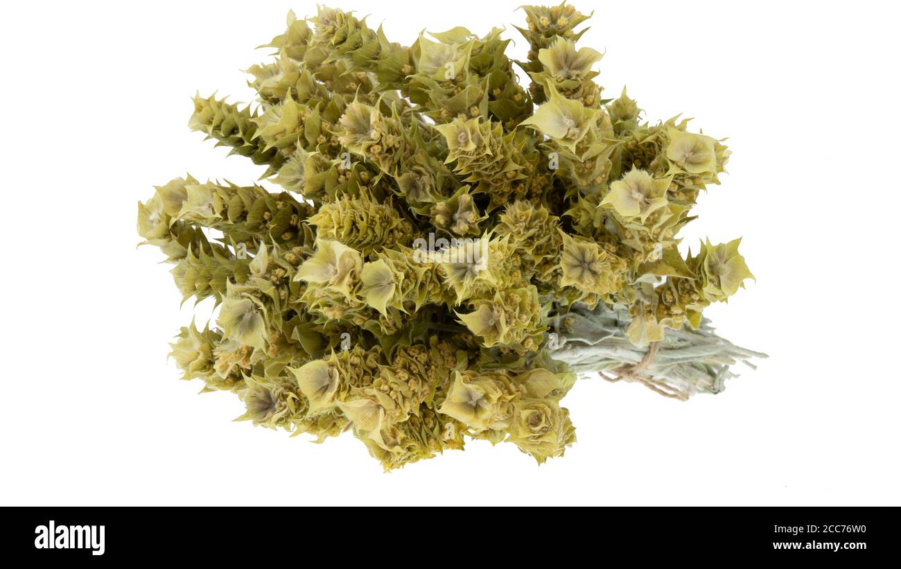 Greek Mountain Tea Malotira Sideritis Syriaca 460g (16.2oz