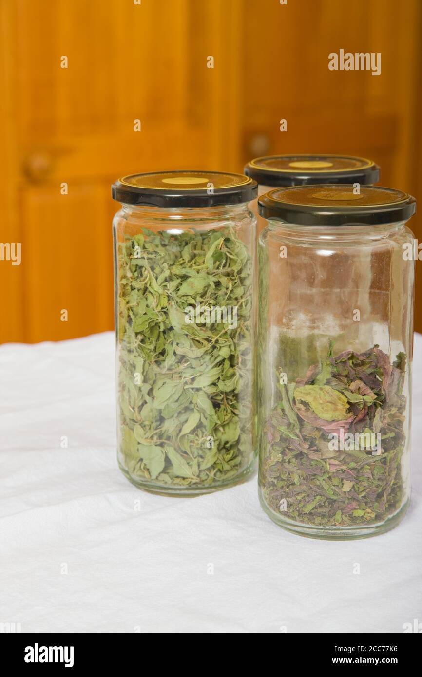 Jars of homedried peppermint and oregano Stock Photo Alamy