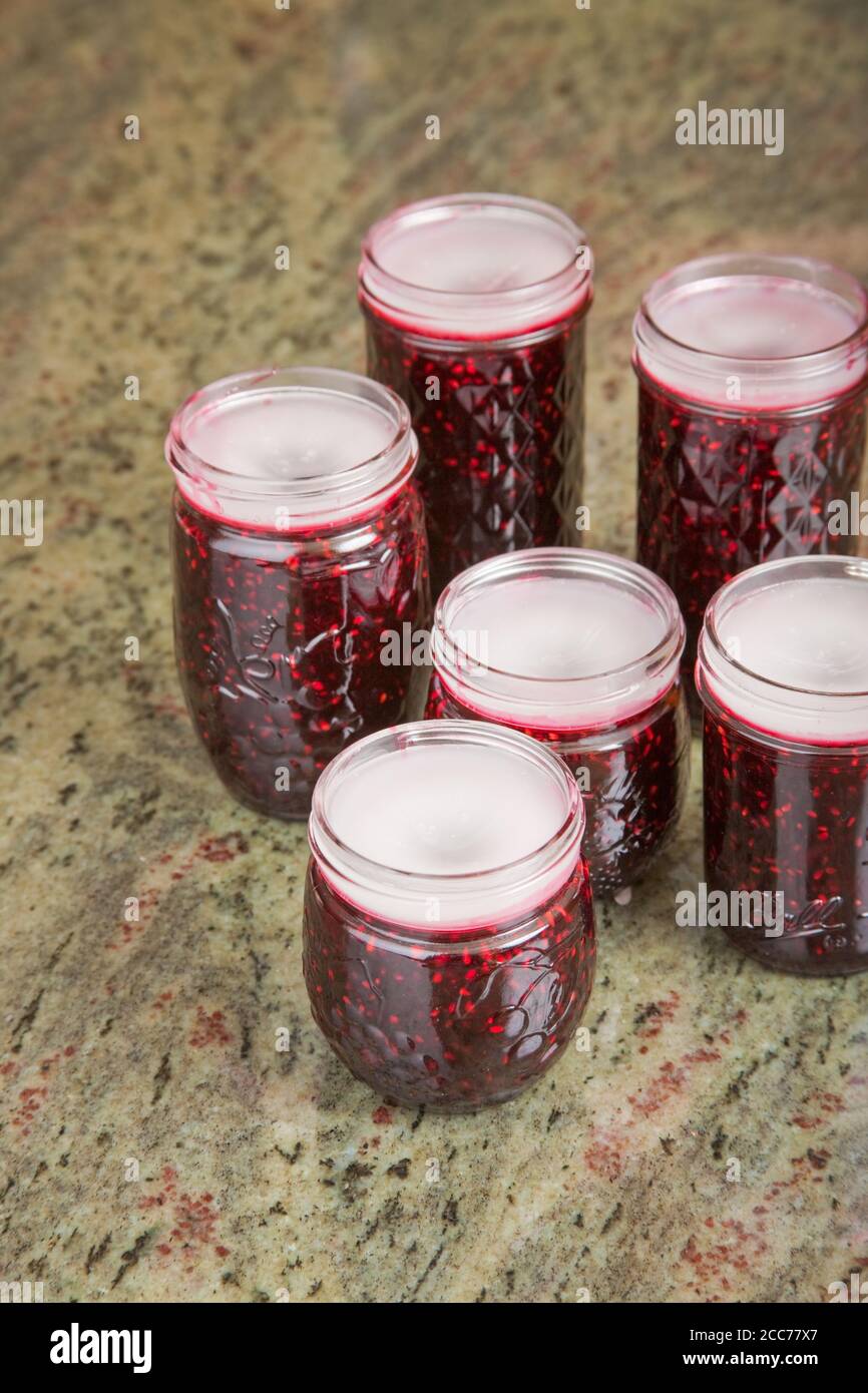 Jars of blackberry jam with the household wax (paraffin) mostly solidified on a granite