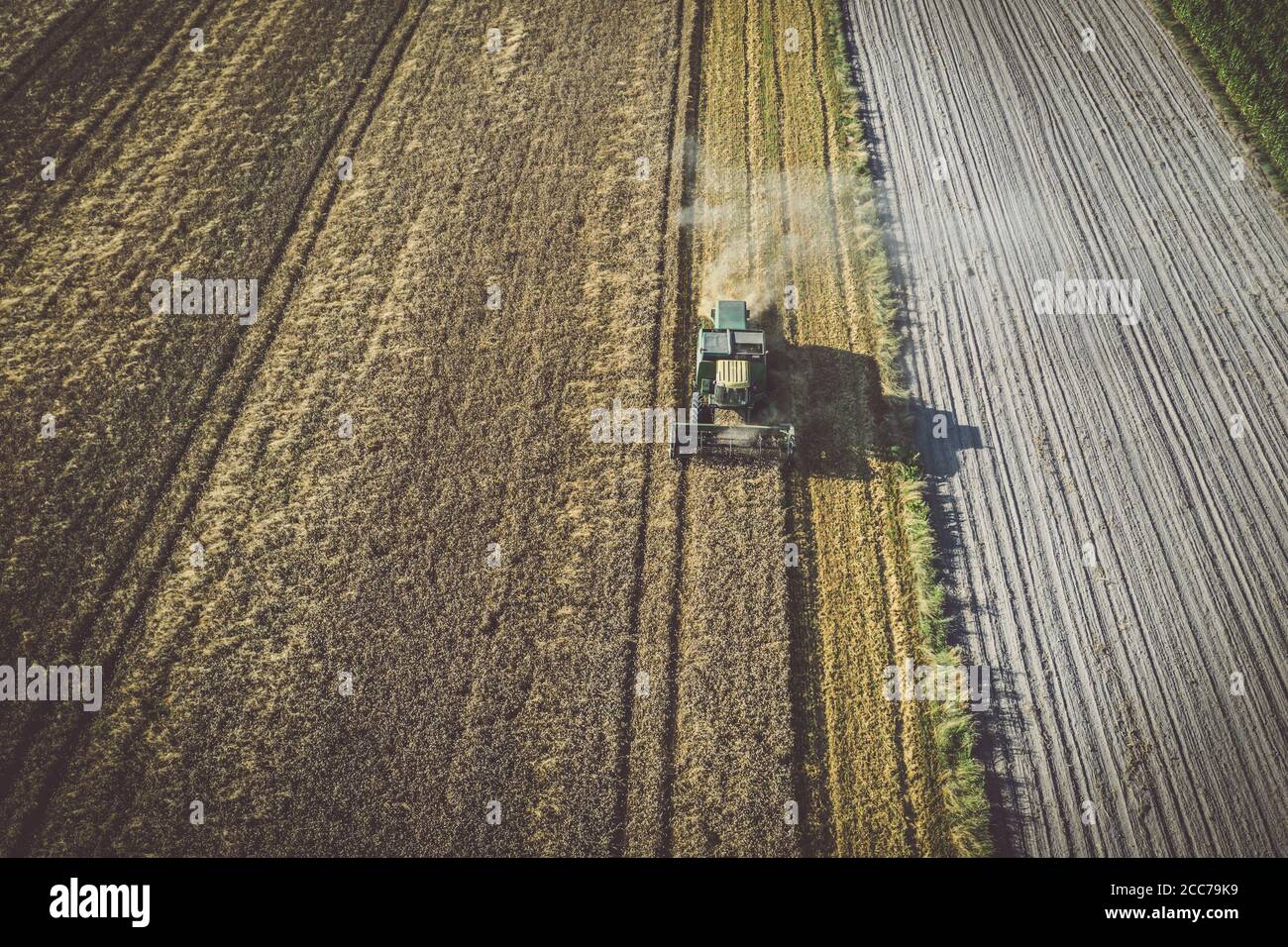 Aerial view of combine harvester working in the field, harvesting time