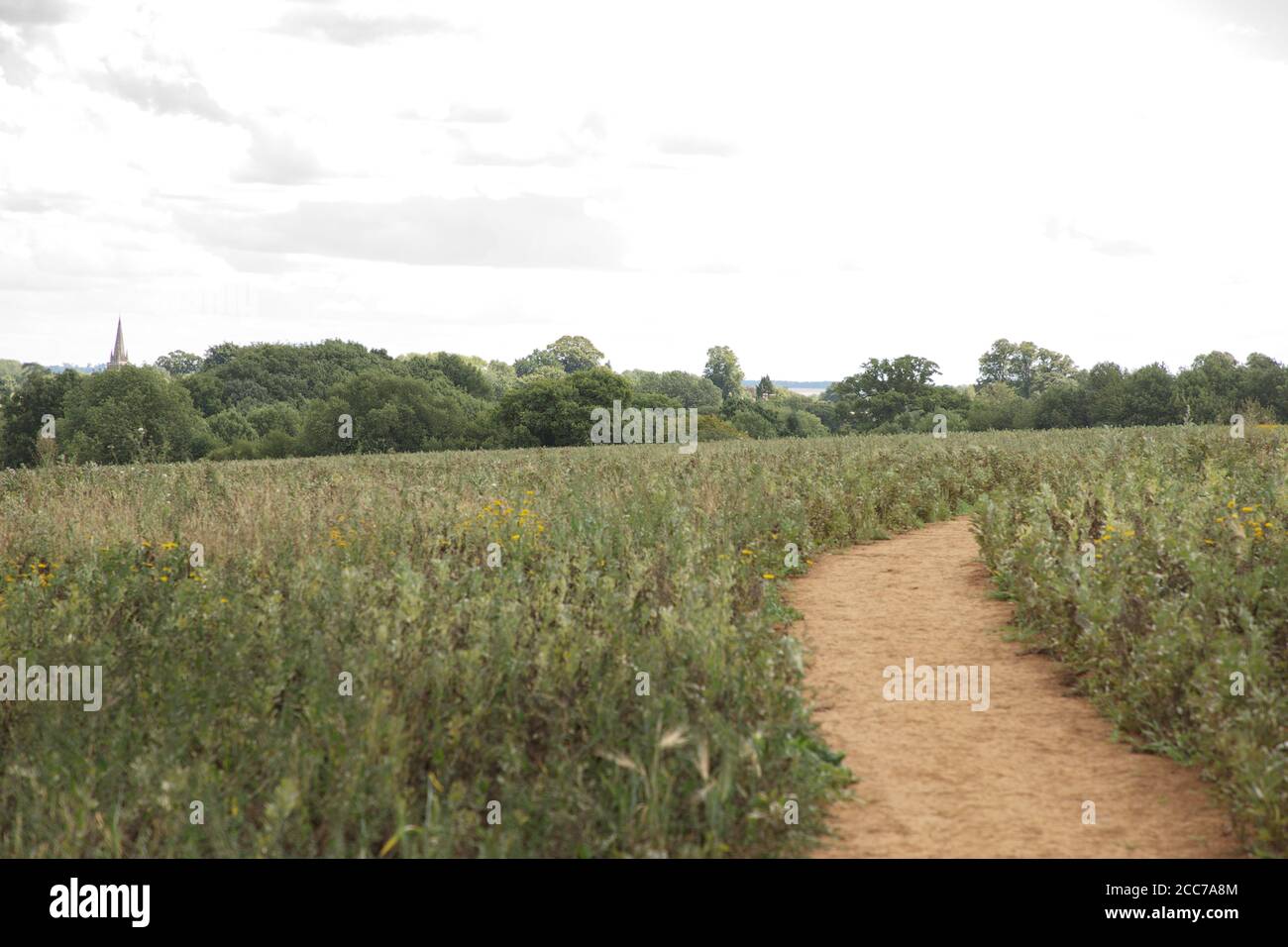 landscape image taken on the Adderbury circular walk in the Oxfordshire