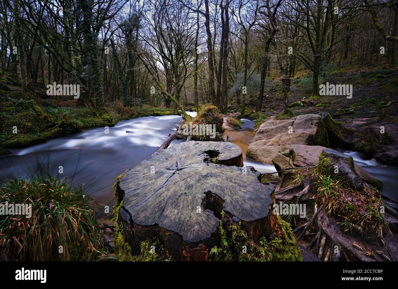 Tree Stump Rivers Tree Stump At Head of River Stock Photo - Alamy