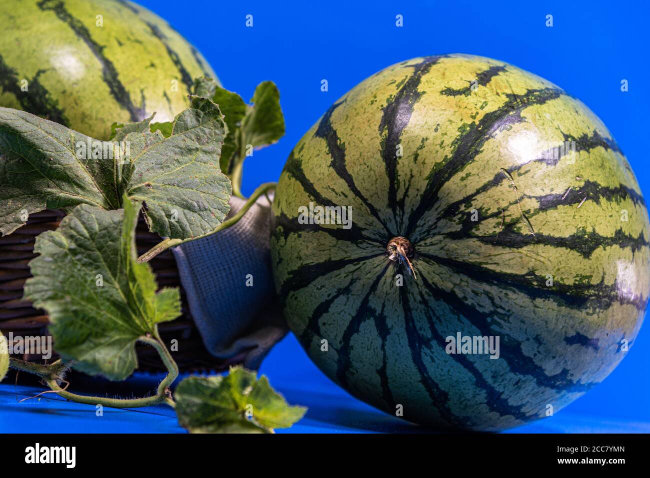 Watermelon fruits (Citrullus lanatus). Tropical fruits. Large and more ...