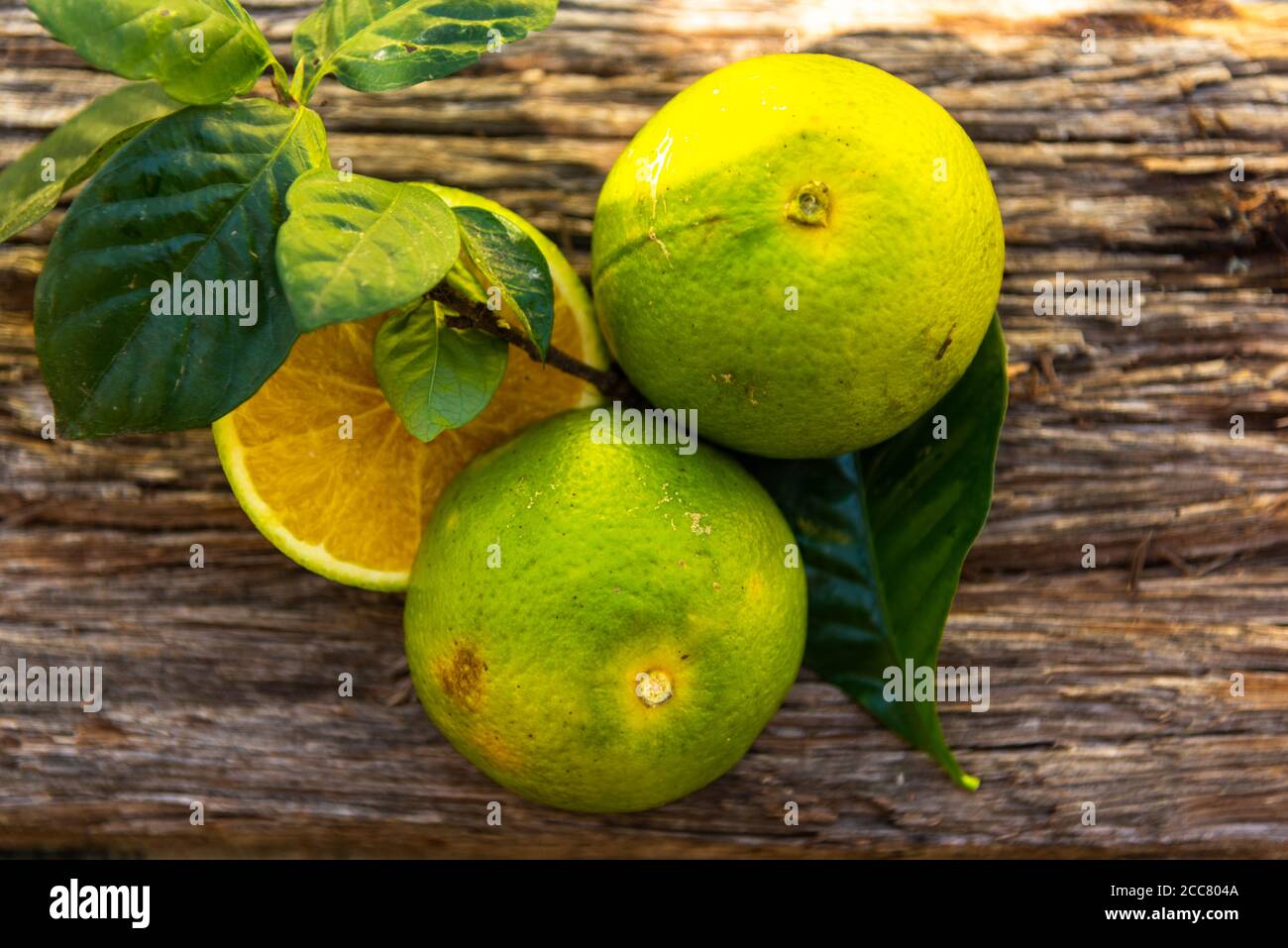 Fresh orange fruits. Orange is the fruit of the orange tree (Citrus