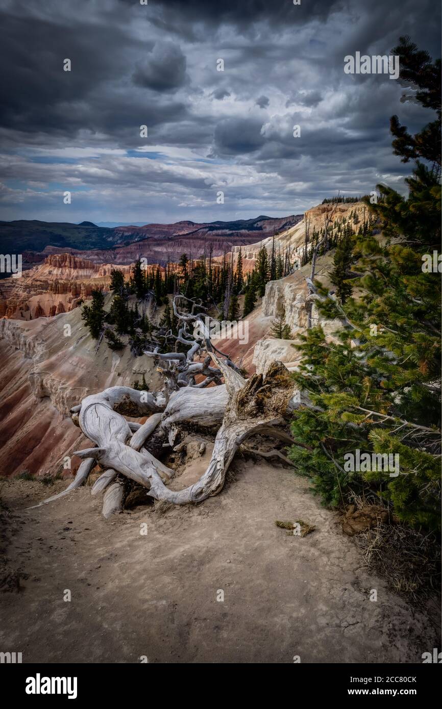 Utah USA National Parks and Landscapes Stock Photo