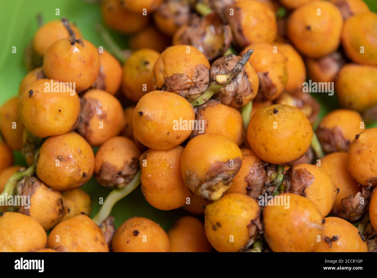 Butiazeiro fruit, edible, with juicy, aromatic and sweet pulp, much appreciated by man. Butiá occurs mainly in the cerrado environment, with wide dist Stock Photo