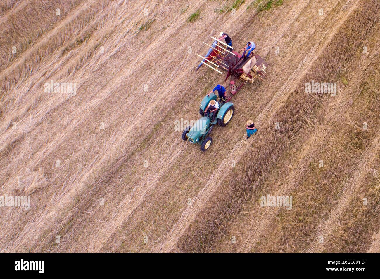 01 August 2020, Schleswig-Holstein, Lübeck: A swath mower is used to mow and bind yarrows of straw when harvesting rye straw for the production of drinking straws in the field near Lübeck. (Aerial photograph with a drone) From July 2021 at the latest, plastic drinking straws may no longer be sold throughout the EU. As an alternative to the colourful drinking straws made of plastic, special rye is harvested on an area of two hectares near Lübeck and drinking straws are made from it. For many years Strohmi GmbH has been supplying these sustainable straws to hotels, upscale bars and restaurants a Stock Photo