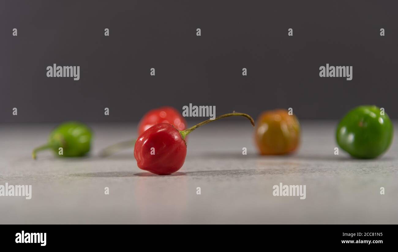 Goat pepper fruits. Pimenta de Cheiro This is one of the two main