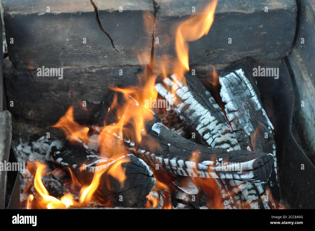 Burning firewood with black cracked surface covered with white ashes