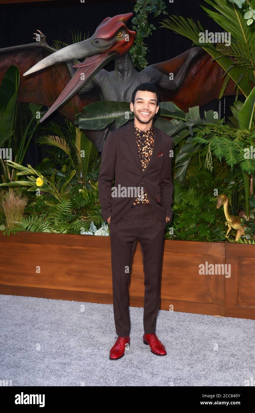 LOS ANGELES - JUN 12:  Justice Smith at the Jurassic World: Fallen Kingdom Premiere at the Walt Disney Concert Hall on June 12, 2018 in Los Angeles, CA Stock Photo