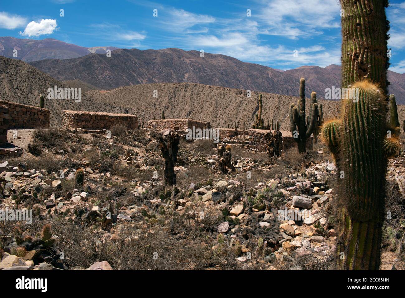 The Pucará de Tilcara is a partially re-constructed, pre-Inca settlement and an important prehistoric archaeological site in northwest Argentina. Stock Photo