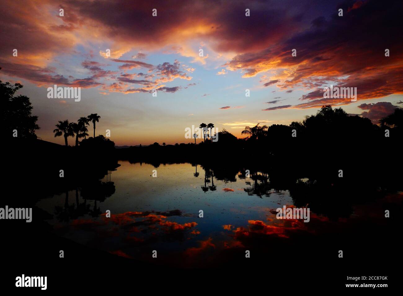 Palm trees reflected in pond hi-res stock photography and images - Alamy