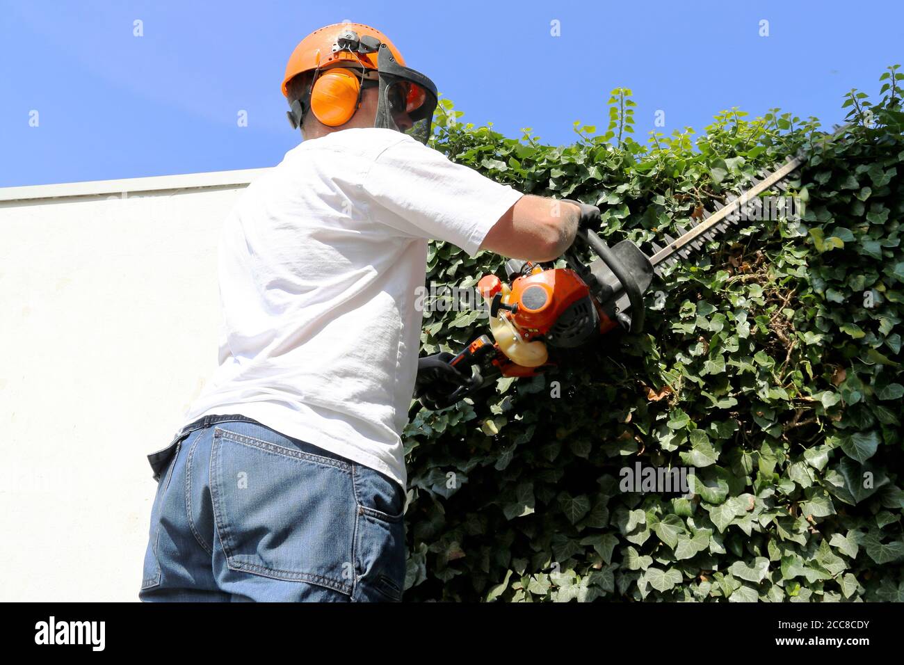 Man cutting hedges with saw Stock Photo Alamy
