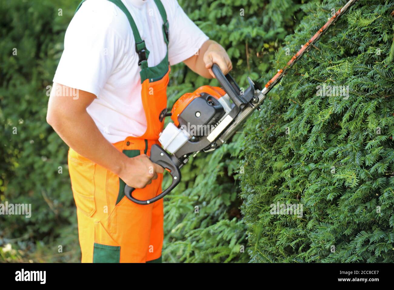 Man cutting hedges with saw Stock Photo Alamy