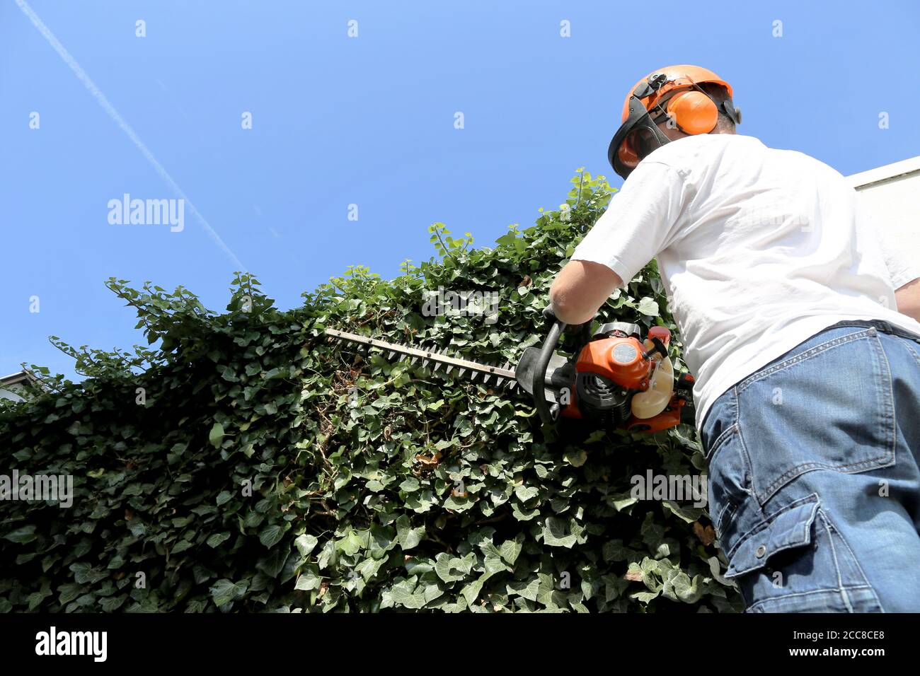 Man cutting hedges with saw Stock Photo Alamy