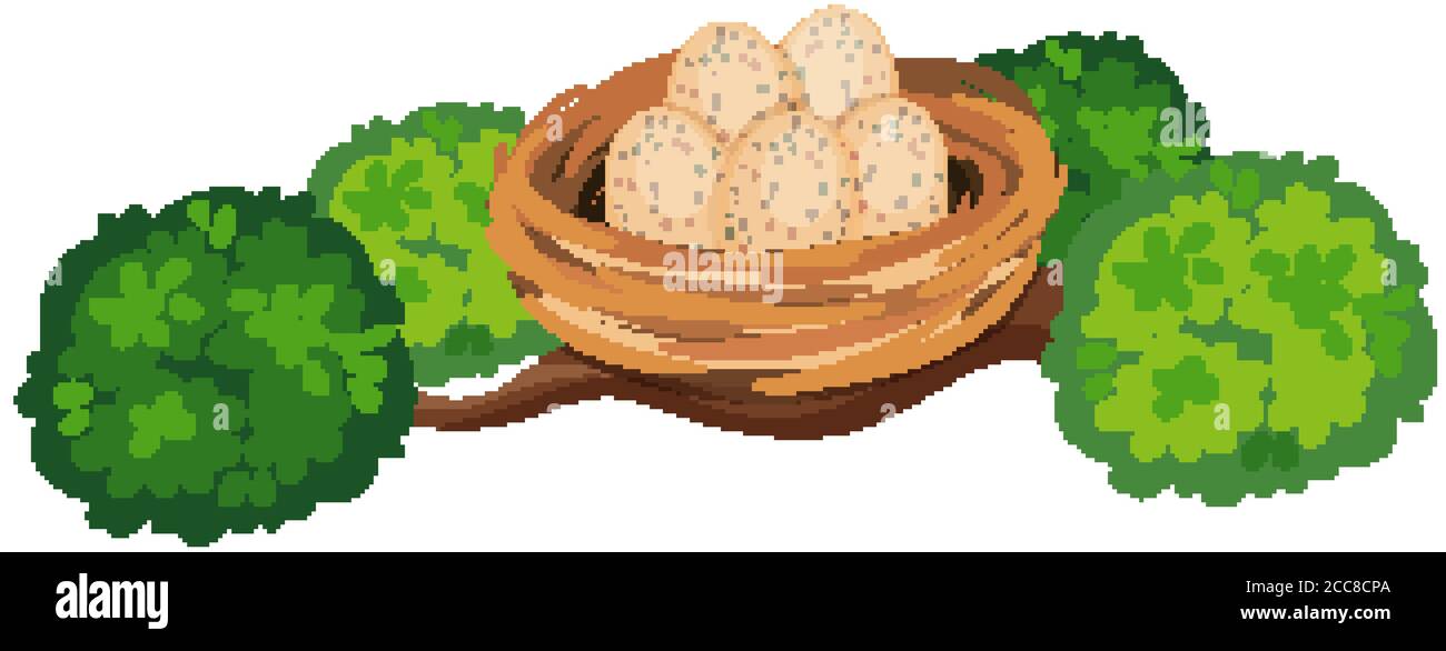 Eggs in the bird nest on tree branch illustration Stock Vector Image ...