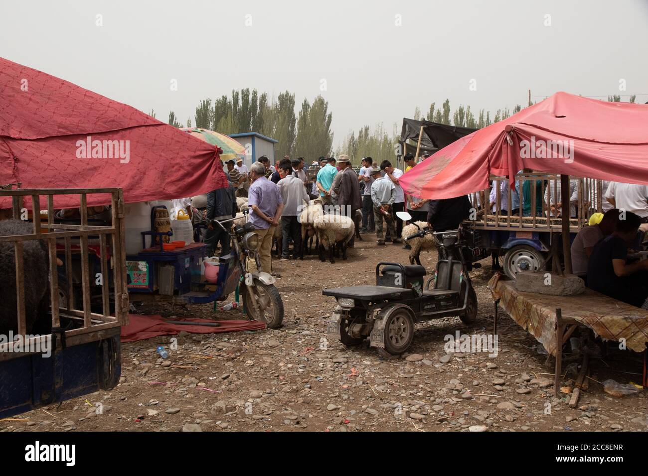 KASHGAR, CHINA: A group of Uyghur man trying to sell their sheep at the sunday market near Kashgar in the Xinjiang Uyghur Autonomous Region Stock Photo