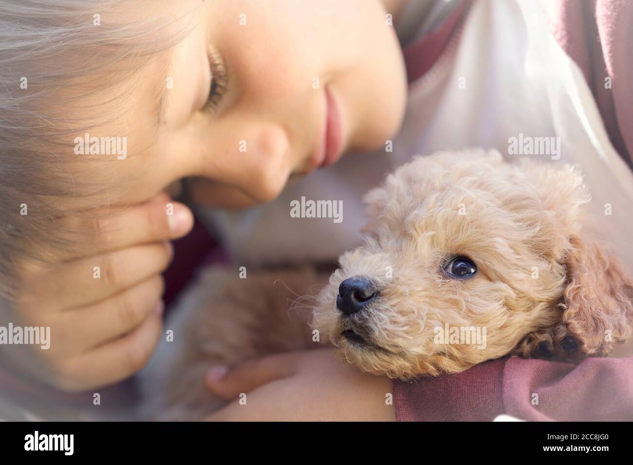 A magical moment of sweetness between a puppy of a man and a puppy dog Stock Photo